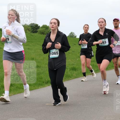04.05.2025 - 8. Wedeler Halbmarathon Lena Gebhardt http://msf.ph/oto/7835651 04.05.2025 11:28:22 Laufen 79, 1065, 817, 93, 90, 265 meine-sportfotos.de
