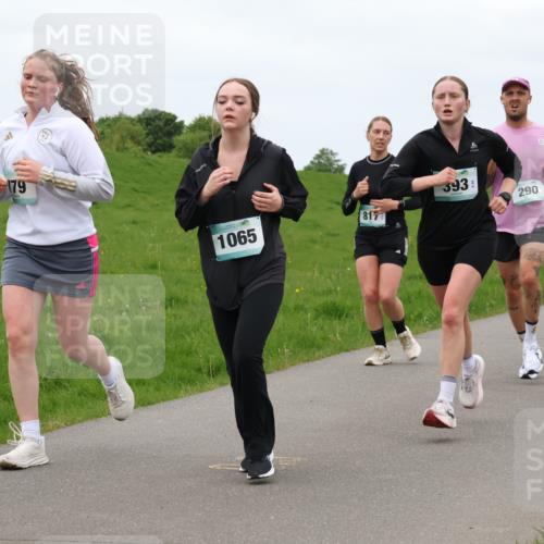 04.05.2025 - 8. Wedeler Halbmarathon Lena Gebhardt http://msf.ph/oto/7835656 04.05.2025 11:28:22 Laufen 179, 817, 1065, 393, 290, 265, 949 meine-sportfotos.de