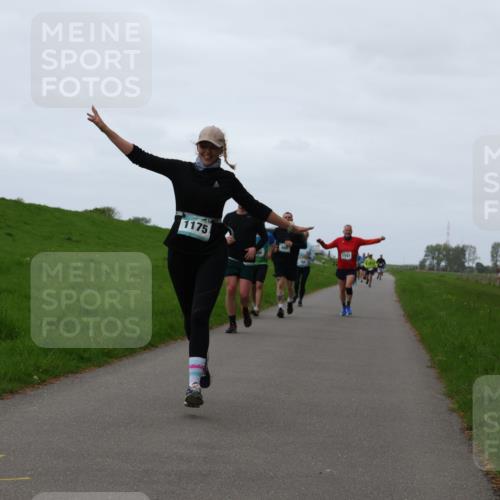 04.05.2025 - 8. Wedeler Halbmarathon Yannick Fuchs http://msf.ph/oto/7836268 04.05.2025 11:23:57 Laufen 1175, 1141 meine-sportfotos.de