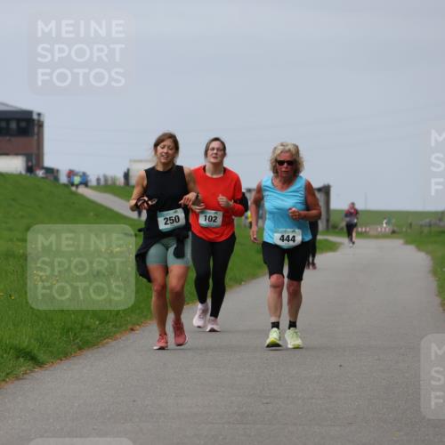 04.05.2025 - 8. Wedeler Halbmarathon Yannick Fuchs http://msf.ph/oto/7837503 04.05.2025 12:00:53 Laufen 250, 102, 444 meine-sportfotos.de
