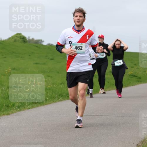 04.05.2025 - 8. Wedeler Halbmarathon Lena Gebhardt http://msf.ph/oto/7839308 04.05.2025 11:42:48 Laufen 9, 462, 306, 230 meine-sportfotos.de