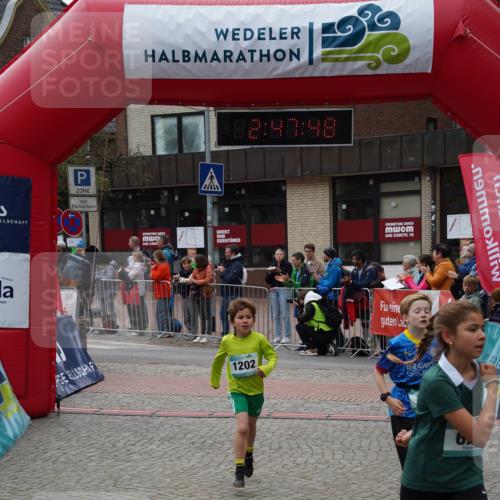 04.05.2025 - 8. Wedeler Halbmarathon Felixshl http://msf.ph/oto/7841352 04.05.2025 12:47:46 Ziel 622, 708, 1202 meine-sportfotos.de