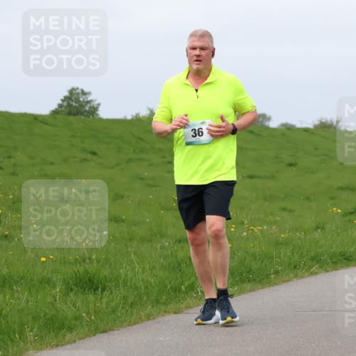 04.05.2025 - 8. Wedeler Halbmarathon Lena Gebhardt http://msf.ph/oto/7841638 04.05.2025 11:57:43 Laufen 36, 275 meine-sportfotos.de