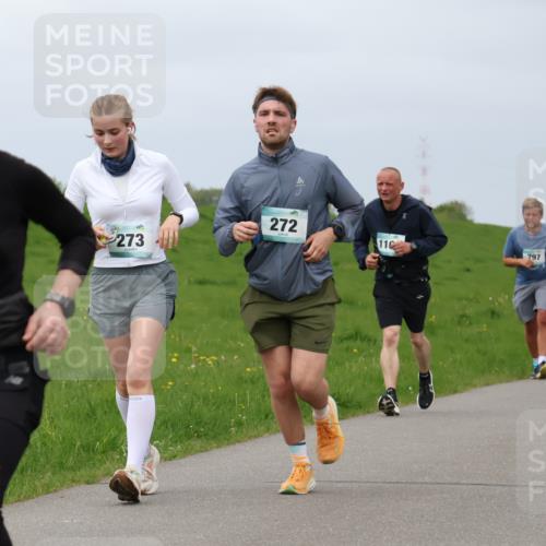 04.05.2025 - 8. Wedeler Halbmarathon Lena Gebhardt http://msf.ph/oto/7841950 04.05.2025 12:01:19 Laufen 273, 272, 110, 797, 819 meine-sportfotos.de