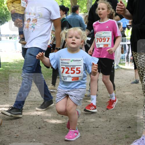 17.05.2025 - Störlauf Strokosch-Dieckow http://msf.ph/oto/7845529 17.05.2025 13:05:38 Laufen 2025, 7255, 7097 meine-sportfotos.de