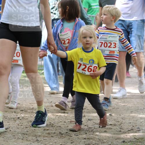 17.05.2025 - Störlauf Strokosch-Dieckow http://msf.ph/oto/7845564 17.05.2025 13:05:54 Laufen 2025, 021, 0, 2025, 22, 2025, 7023, 7289, 10, 2025, 7268 meine-sportfotos.de