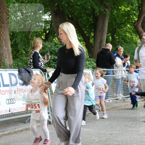 17.05.2025 - Störlauf Strokosch-Dieckow http://msf.ph/oto/7846162 17.05.2025 13:03:50 Ziel 051, 7182, 7294, 228 meine-sportfotos.de