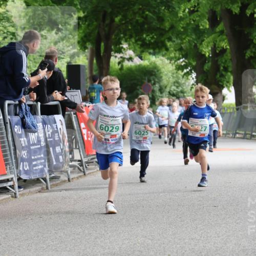 17.05.2025 - Störlauf Strokosch-Dieckow http://msf.ph/oto/7846299 17.05.2025 13:16:16 Ziel 2025, 6029, 6025, 6058, 27 meine-sportfotos.de