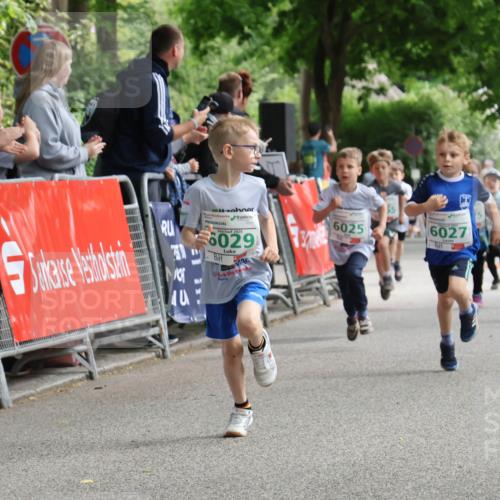 17.05.2025 - Störlauf Strokosch-Dieckow http://msf.ph/oto/7846301 17.05.2025 13:16:18 Ziel 2025, 6029, 6025, 6027 meine-sportfotos.de