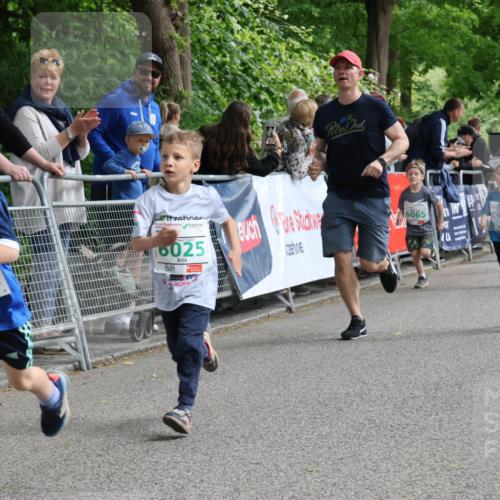 17.05.2025 - Störlauf Strokosch-Dieckow http://msf.ph/oto/7846313 17.05.2025 13:16:22 Ziel 6027, 2025, 16025, 3, 6065, 5058, 602 meine-sportfotos.de