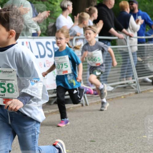 17.05.2025 - Störlauf Strokosch-Dieckow http://msf.ph/oto/7846321 17.05.2025 13:16:25 Ziel 075, 2025, 6058, 6065, 607 meine-sportfotos.de