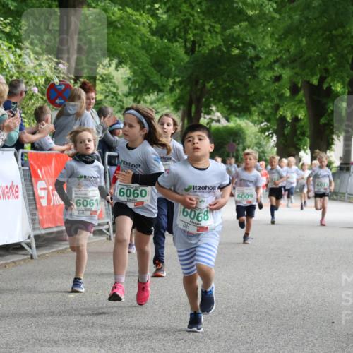 17.05.2025 - Störlauf Strokosch-Dieckow http://msf.ph/oto/7846343 17.05.2025 13:16:33 Ziel 202, 2025, 08, 621, 6061, 6060, 6009, 6023, 6068 meine-sportfotos.de