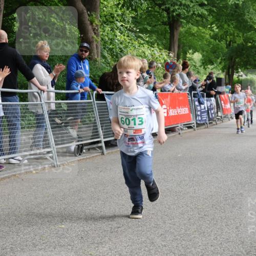 17.05.2025 - Störlauf Strokosch-Dieckow http://msf.ph/oto/7846367 17.05.2025 13:16:42 Ziel 11, 2025, 6013, 6067, 6006, 602 meine-sportfotos.de