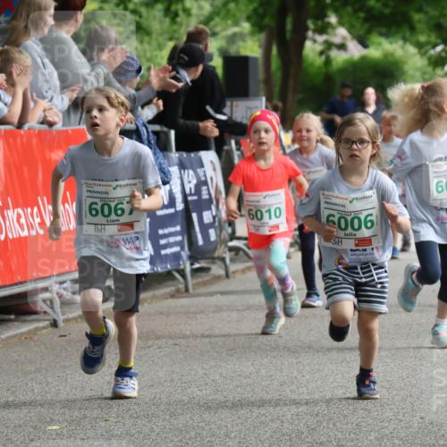 17.05.2025 - Störlauf Strokosch-Dieckow http://msf.ph/oto/7846371 17.05.2025 13:16:44 Ziel 2025, 6067, 6010, 2025, 6006, 6063, 6026 meine-sportfotos.de
