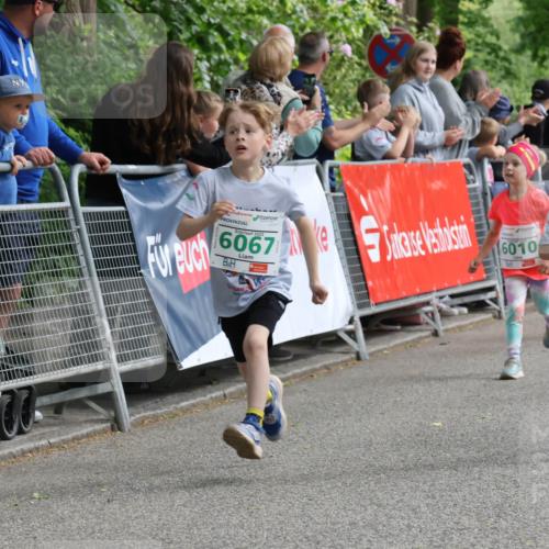 17.05.2025 - Störlauf Strokosch-Dieckow http://msf.ph/oto/7846373 17.05.2025 13:16:45 Ziel 2025, 6067, 6010, 06 meine-sportfotos.de