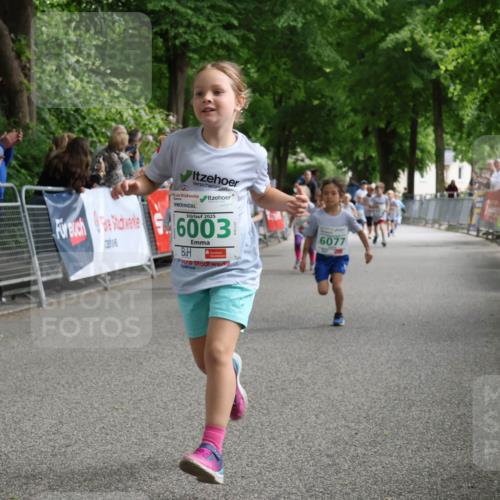 17.05.2025 - Störlauf Strokosch-Dieckow http://msf.ph/oto/7846388 17.05.2025 13:16:51 Ziel 2025, 6026, 2025, 6003, 6077 meine-sportfotos.de