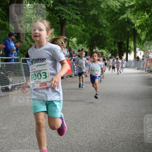 17.05.2025 - Störlauf Strokosch-Dieckow http://msf.ph/oto/7846389 17.05.2025 13:16:51 Ziel 2025, 6003, 6034, 6077 meine-sportfotos.de