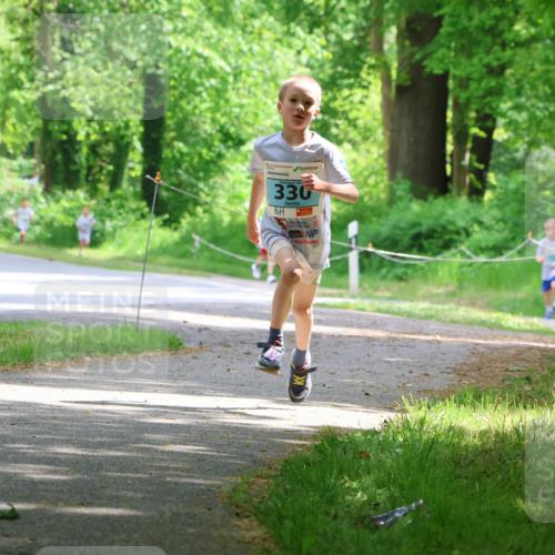 17.05.2025 - Störlauf Strokosch-Dieckow http://msf.ph/oto/7846390 17.05.2025 13:38:36 Laufen 330, 65 meine-sportfotos.de