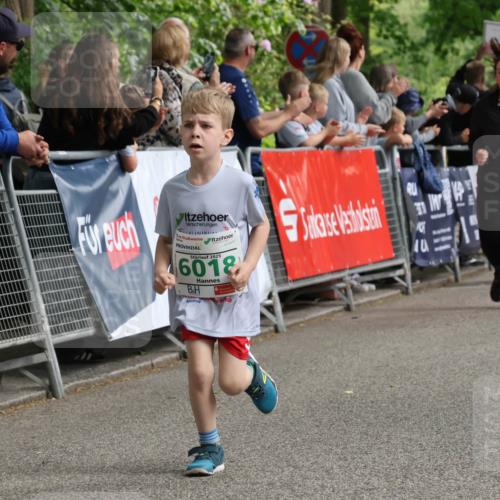 17.05.2025 - Störlauf Strokosch-Dieckow http://msf.ph/oto/7846404 17.05.2025 13:16:58 Ziel 2025, 6018, 6040 meine-sportfotos.de