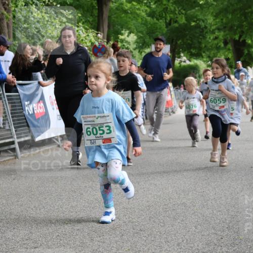 17.05.2025 - Störlauf Strokosch-Dieckow http://msf.ph/oto/7846410 17.05.2025 13:17:02 Ziel 2025, 6053, 6076, 6059, 6017, 6049 meine-sportfotos.de
