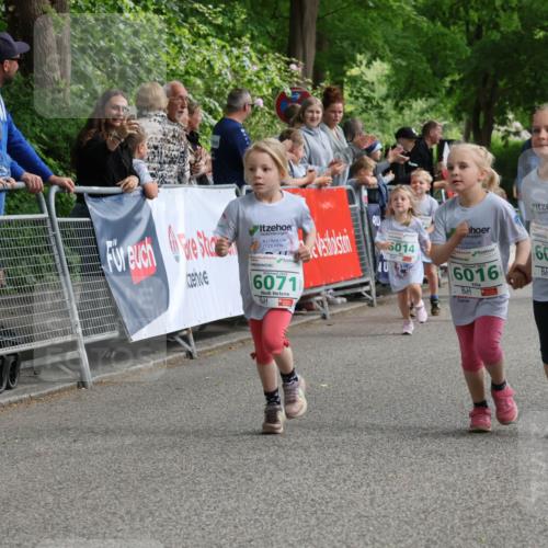 17.05.2025 - Störlauf Strokosch-Dieckow http://msf.ph/oto/7846426 17.05.2025 13:17:08 Ziel 2025, 6071, 6014, 6016, 6017, 66004 meine-sportfotos.de