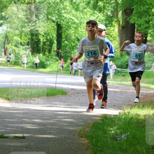 17.05.2025 - Störlauf Strokosch-Dieckow http://msf.ph/oto/7846436 17.05.2025 13:38:44 Laufen 216, 81, 158 meine-sportfotos.de