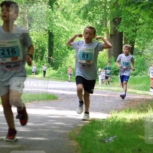 17.05.2025 - Störlauf Strokosch-Dieckow http://msf.ph/oto/7846452 17.05.2025 13:38:46 Laufen 216, 137, 81, 158, 194 meine-sportfotos.de