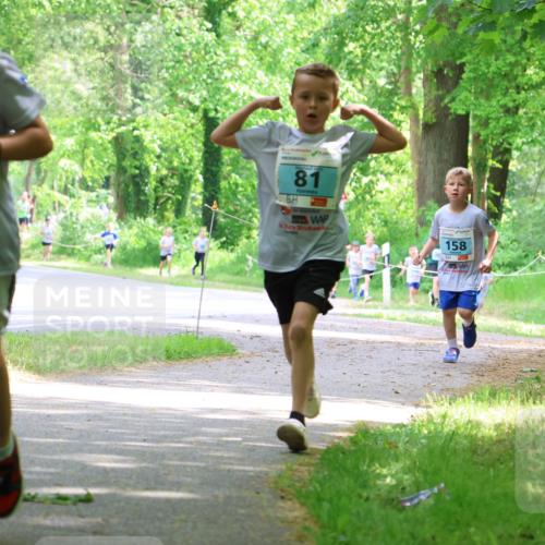 17.05.2025 - Störlauf Strokosch-Dieckow http://msf.ph/oto/7846480 17.05.2025 13:38:47 Laufen 21, 81, 158, 19 meine-sportfotos.de