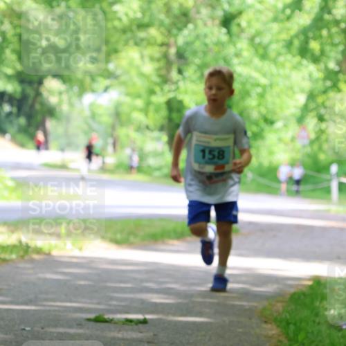 17.05.2025 - Störlauf Strokosch-Dieckow http://msf.ph/oto/7846488 17.05.2025 13:38:51 Laufen 158 meine-sportfotos.de