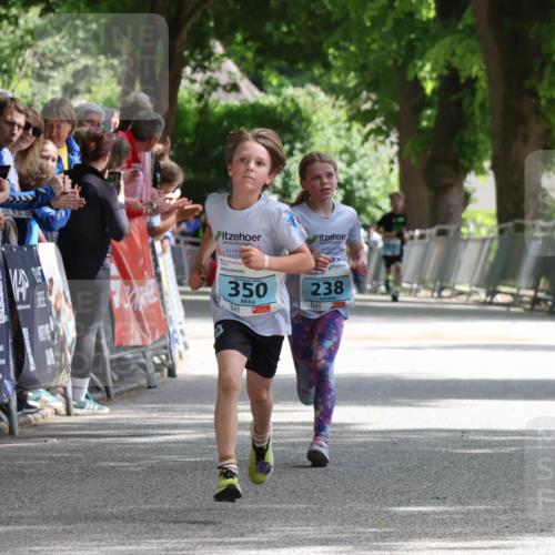 17.05.2025 - Störlauf Strokosch-Dieckow http://msf.ph/oto/7846499 17.05.2025 13:39:19 Ziel 7, 25524, 350, 238 meine-sportfotos.de