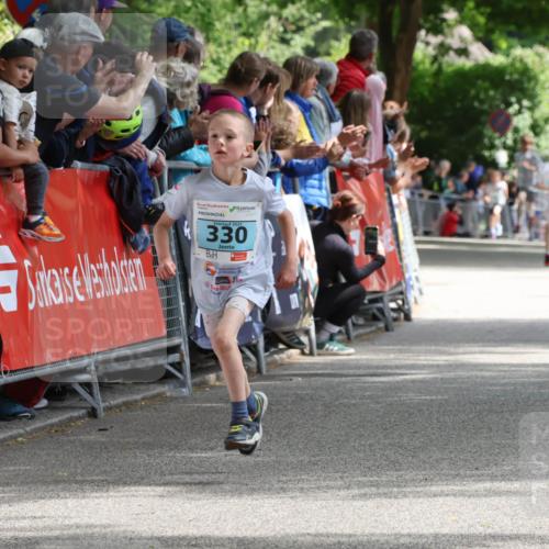 17.05.2025 - Störlauf Strokosch-Dieckow http://msf.ph/oto/7846549 17.05.2025 13:40:01 Ziel 330 meine-sportfotos.de