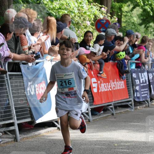 17.05.2025 - Störlauf Strokosch-Dieckow http://msf.ph/oto/7846572 17.05.2025 13:40:14 Ziel 2025, 216, 31 meine-sportfotos.de