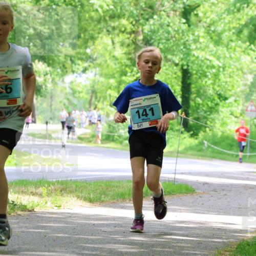17.05.2025 - Störlauf Strokosch-Dieckow http://msf.ph/oto/7846633 17.05.2025 13:39:15 Laufen 1025, 16, 330100, 2025, 141, 348 meine-sportfotos.de