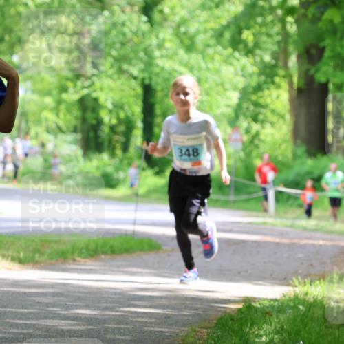 17.05.2025 - Störlauf Strokosch-Dieckow http://msf.ph/oto/7846660 17.05.2025 13:39:17 Laufen 2025, 141, 348 meine-sportfotos.de