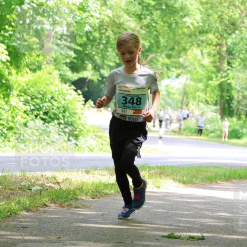 17.05.2025 - Störlauf Strokosch-Dieckow http://msf.ph/oto/7846674 17.05.2025 13:39:19 Laufen 2025, 348 meine-sportfotos.de