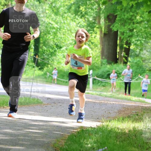 17.05.2025 - Störlauf Strokosch-Dieckow http://msf.ph/oto/7846717 17.05.2025 13:39:30 Laufen  meine-sportfotos.de