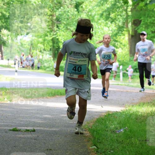 17.05.2025 - Störlauf Strokosch-Dieckow http://msf.ph/oto/7846826 17.05.2025 13:39:57 Laufen 2025, 40, 20, 270 meine-sportfotos.de