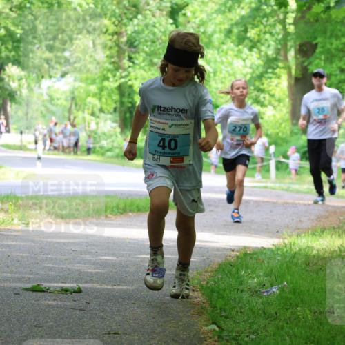 17.05.2025 - Störlauf Strokosch-Dieckow http://msf.ph/oto/7846831 17.05.2025 13:39:57 Laufen 2025, 40, 20, 270 meine-sportfotos.de