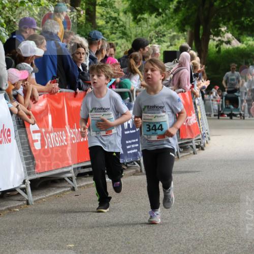 17.05.2025 - Störlauf Strokosch-Dieckow http://msf.ph/oto/7846928 17.05.2025 13:43:16 Ziel 2025, 344, 17, 75 meine-sportfotos.de