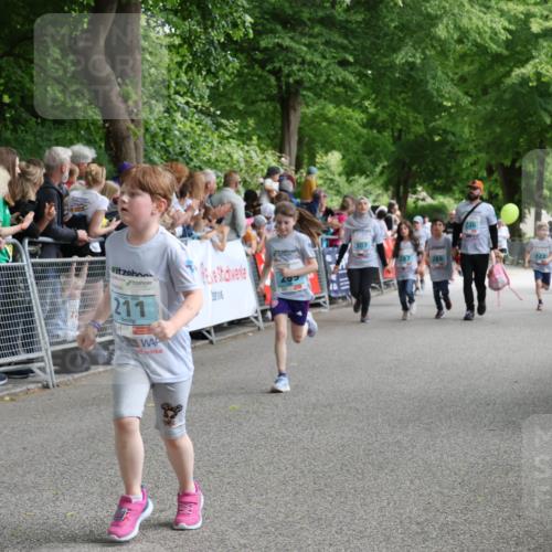 17.05.2025 - Störlauf Strokosch-Dieckow http://msf.ph/oto/7846990 17.05.2025 13:43:42 Ziel 211, 288, 286, 146 meine-sportfotos.de
