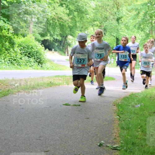 17.05.2025 - Störlauf Strokosch-Dieckow http://msf.ph/oto/7847110 17.05.2025 13:40:43 Laufen 327, 73, 133, 261, 263, 138 meine-sportfotos.de