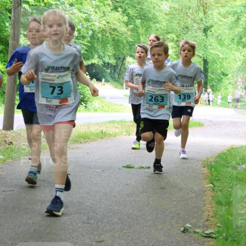 17.05.2025 - Störlauf Strokosch-Dieckow http://msf.ph/oto/7847123 17.05.2025 13:40:45 Laufen 263, 139, 2025, 29, 2025, 73 meine-sportfotos.de