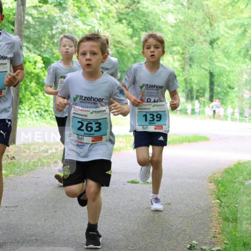 17.05.2025 - Störlauf Strokosch-Dieckow http://msf.ph/oto/7847143 17.05.2025 13:40:46 Laufen 2025, 6, 2025, 263, 2025, 139 meine-sportfotos.de