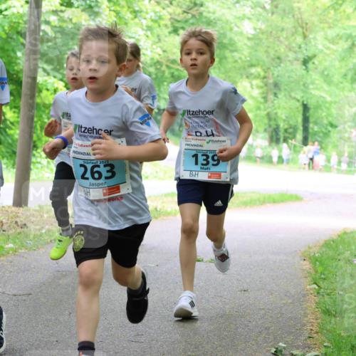 17.05.2025 - Störlauf Strokosch-Dieckow http://msf.ph/oto/7847154 17.05.2025 13:40:46 Laufen 2, 46, 2025, 263, 2025, 139 meine-sportfotos.de