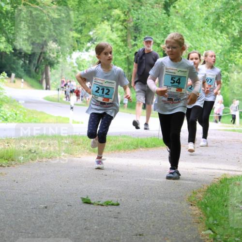 17.05.2025 - Störlauf Strokosch-Dieckow http://msf.ph/oto/7847234 17.05.2025 13:41:05 Laufen 2025, 212, 2025, 54, 97, 864 meine-sportfotos.de