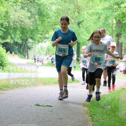 17.05.2025 - Störlauf Strokosch-Dieckow http://msf.ph/oto/7847372 17.05.2025 13:41:33 Laufen 365, 232, 2025, 90, 218, 344 meine-sportfotos.de