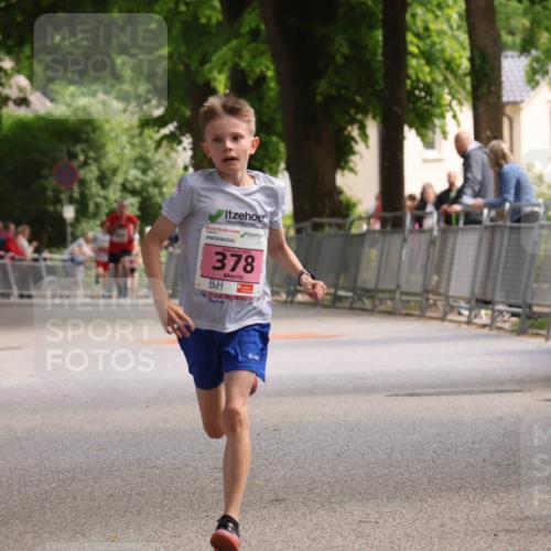 17.05.2025 - Störlauf Strokosch-Dieckow http://msf.ph/oto/7847591 17.05.2025 13:54:25 Ziel 378 meine-sportfotos.de