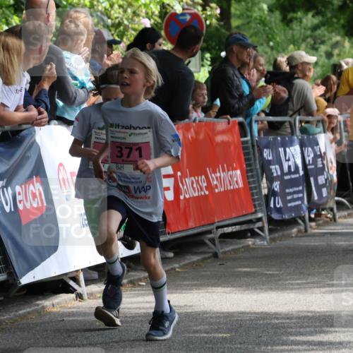 17.05.2025 - Störlauf Strokosch-Dieckow http://msf.ph/oto/7847639 17.05.2025 13:55:06 Ziel 2025, 371, 55, 503 meine-sportfotos.de