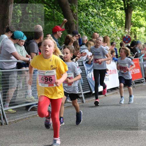 17.05.2025 - Störlauf Strokosch-Dieckow http://msf.ph/oto/7847920 17.05.2025 13:57:21 Ziel 25, 321, 2025, 496, 391, 406 meine-sportfotos.de