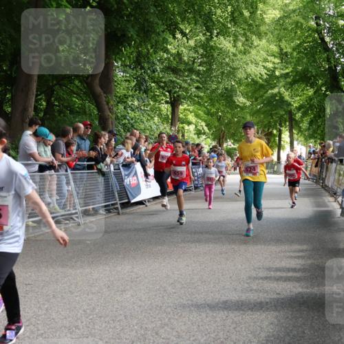 17.05.2025 - Störlauf Strokosch-Dieckow http://msf.ph/oto/7847929 17.05.2025 13:57:24 Ziel 406, 665, 659 meine-sportfotos.de